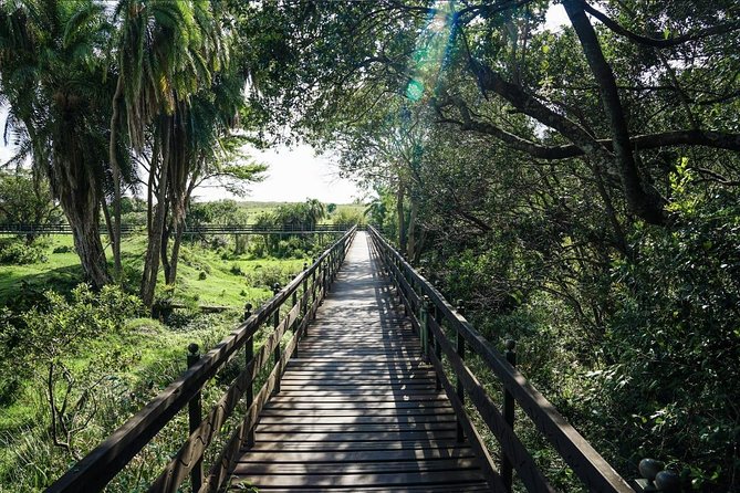 Keekorok Lodge 3 Days, 2 Nights Maasai Mara Offer - Optional hot air balloon safari: the splurge that changes your perspective