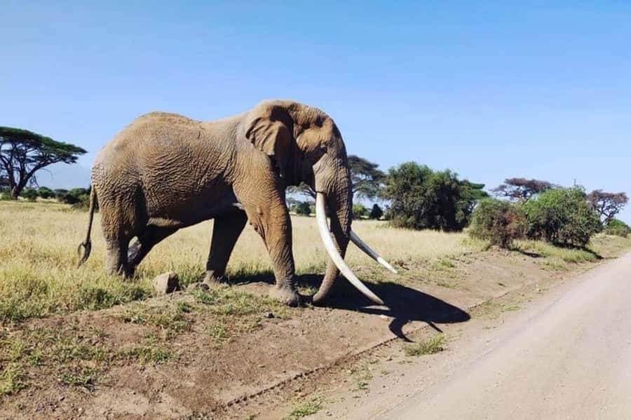 Kenya: 7-Day Big 5 Safari Tour from Nairobi - Day 1 From Nairobi to Maasai Mara: Rift Valley Views and a First Sunset Game Drive