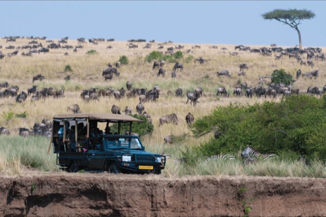 Kenya safari - Naivasha and Hell’s Gate: walking, cycling, boats, and a game drive