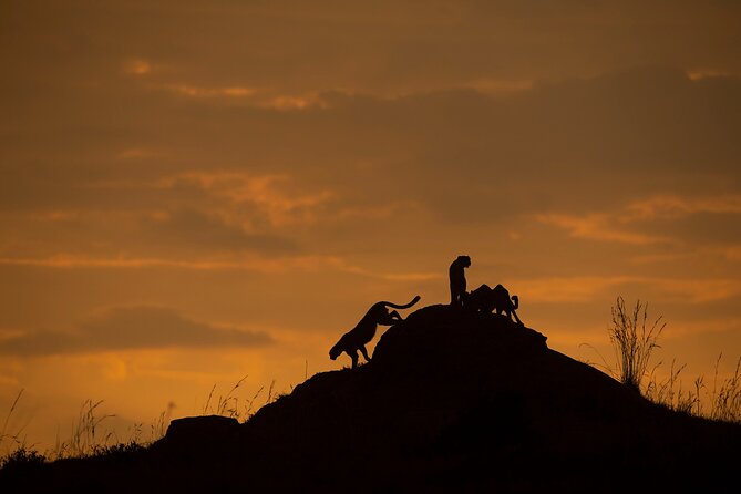 Kenya Safari: Amboseli, Lake Naivasha & Masai Mara - How the Private 4x4, Naturalist, and Park Permits Work in Practice