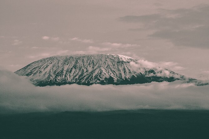 Kilimanjaro Wanderlust Day Hike - Key Things to Know Before You Go