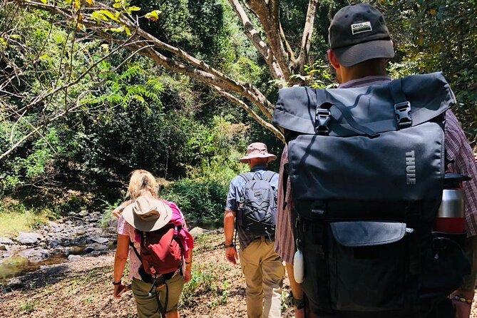 Kilimanjaro Wanderlust Day Hike - Morning Start in Loitokitok: How This Hike Fits Your Day