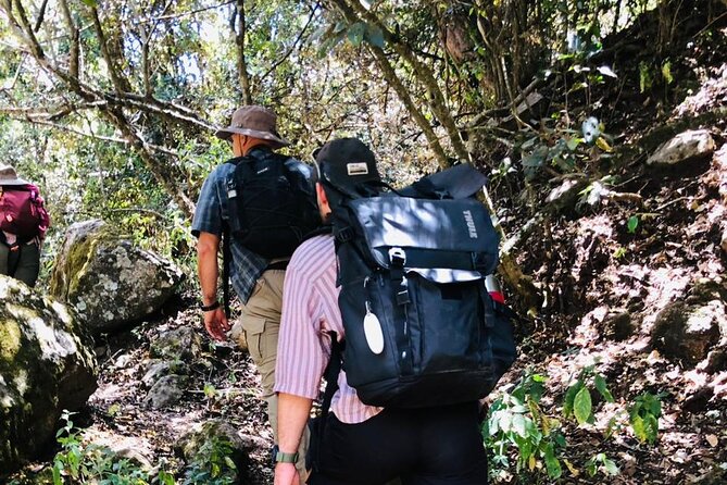 Kilimanjaro Wanderlust Day Hike - Price and Value: Is $55 a Good Deal Here?