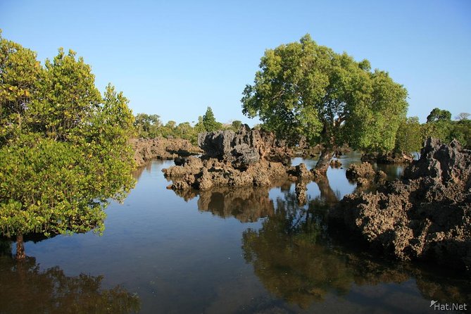 Kisite Marine Park Private Boat Snorkeling with breakfast & Lunch - A Full Day Route From Your Pickup to Shimoni Jetty