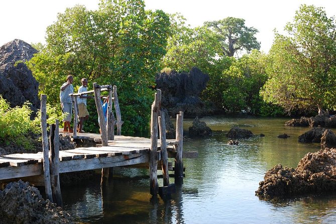Kisite Marine Park Private Boat Snorkeling with breakfast & Lunch - Coral Garden and the Fishing Village: Learn What You’re Seeing