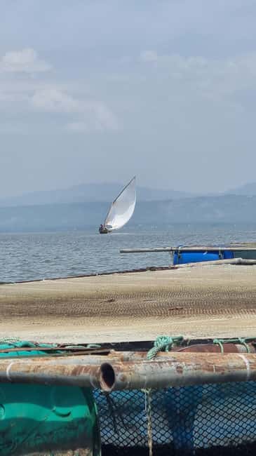 Kisumu Lake Victoria Boat Ride and Hippo Hunt - Price and value: $55 per person, and what your money actually does
