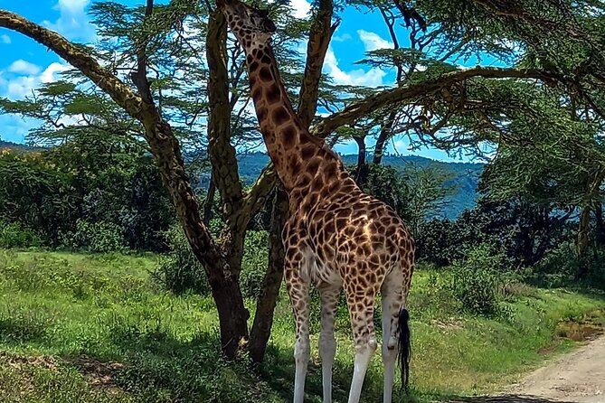Lake Naivasha And Lake Nakuru Overnight Tour - Price and value: what $315 covers, and what to budget for