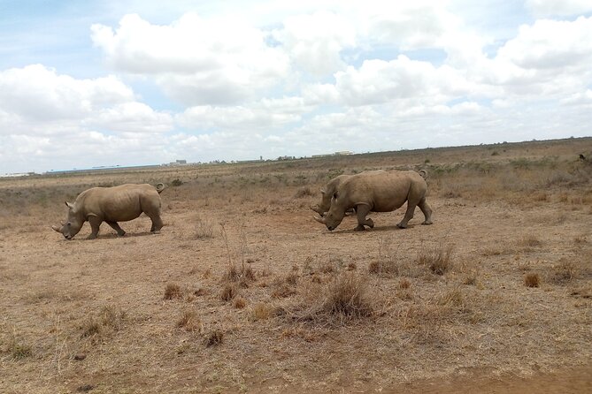 Lake Naivasha And Lake Nakuru Overnight Tour - Who this overnight safari suits best