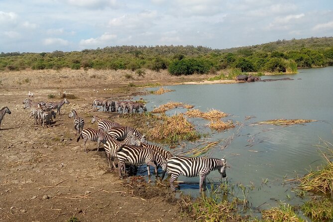 Lake Naivasha And Lake Nakuru Overnight Tour - Should you book this Lake Naivasha and Lake Nakuru overnight tour?