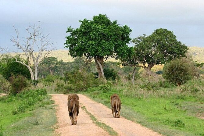 Lake Naivasha And Lake Nakuru Overnight Tour - Hell’s Gate National Park: cycling, gorges, and movie-set scenery