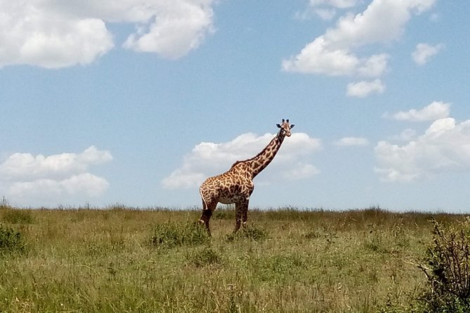 Lake Naivasha & Crescent island day trip. - Hell’s Gate National Park: Walk, Cycle, and Spot Wildlife in a Dramatic Setting
