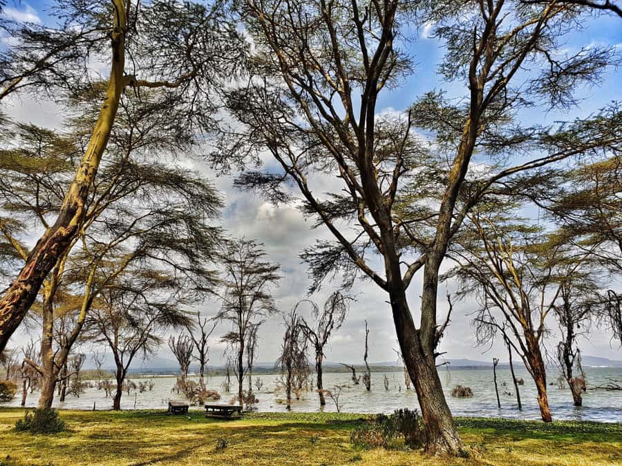 Lake Naivasha: Crescent Island Game Sanctuary - Crescent Island Walking Tour: Getting Close to Giraffes and Zebras