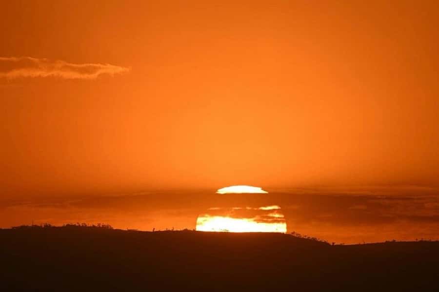 Lake Naivasha: Crescent Island Game Sanctuary - Wildlife Spotting: How to Get More From the Same Sightings
