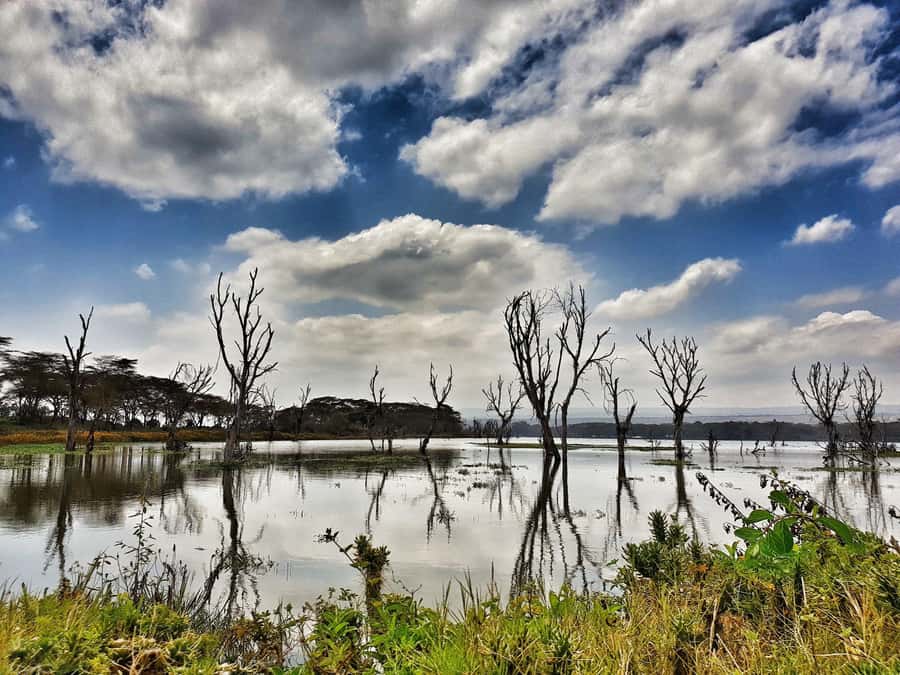 Lake Naivasha: Crescent Island Game Sanctuary - Comfort, Transport, and Timing: The Part You Can Control