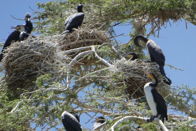 Lake Naivasha day tour including the crescent island - Timing, Weather, and What a 10 Hour Day Requires From You
