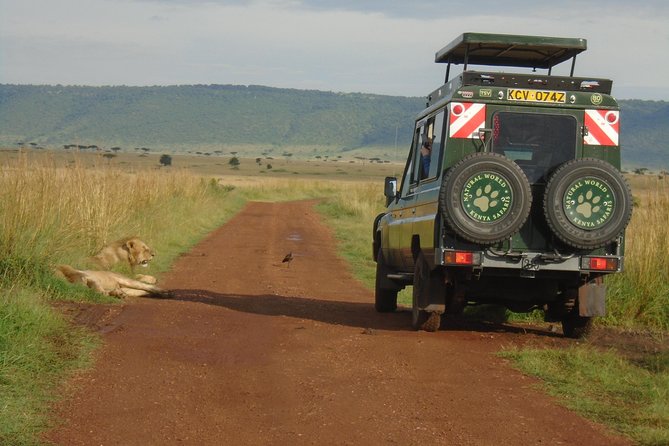 Lake Nakuru, Naivasha & Masai Mara 4 Days Private Jeep Safari - Day 1: 7:00 am Nairobi pickup, Rift Valley views, then Lake Nakuru wildlife