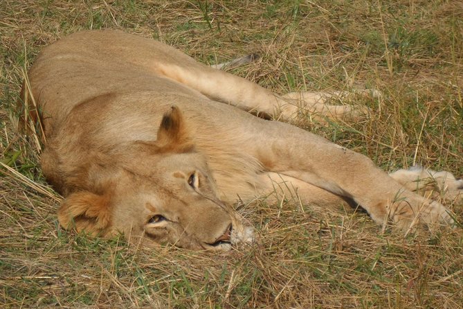 Lake Nakuru National Park Day Tour Via Lake Naivasha - The Rift Valley viewpoint stop, and why it is worth the brief pause