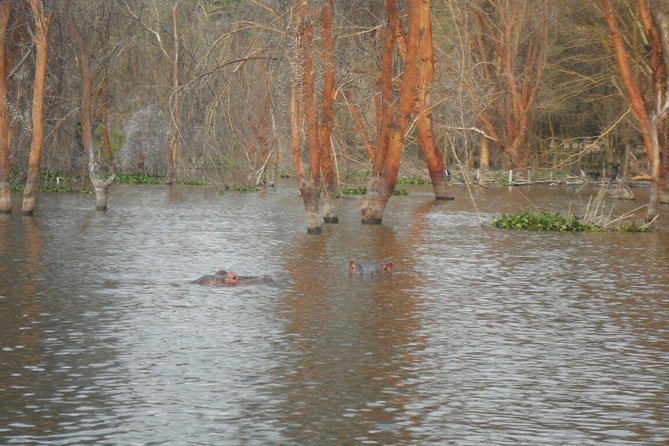 Lake Nakuru National Park Day Tour Via Lake Naivasha - Value and price: is $150 fair for this combo?