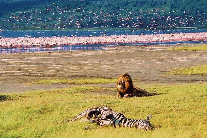 Lake Nakuru National Park: Day Trip from Nairobi - Wildlife Expectations: Plan for Variety, Not Certainty