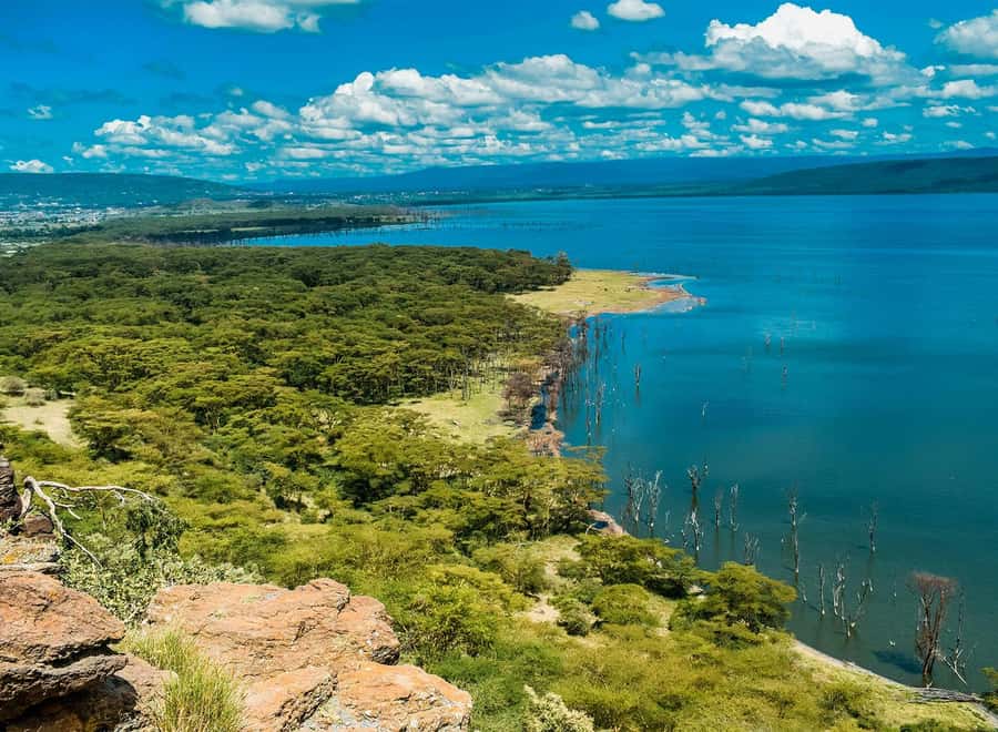 Lake Nakuru National Park: Daytrip in a 4X4 Private Jeep - Key highlights at a glance