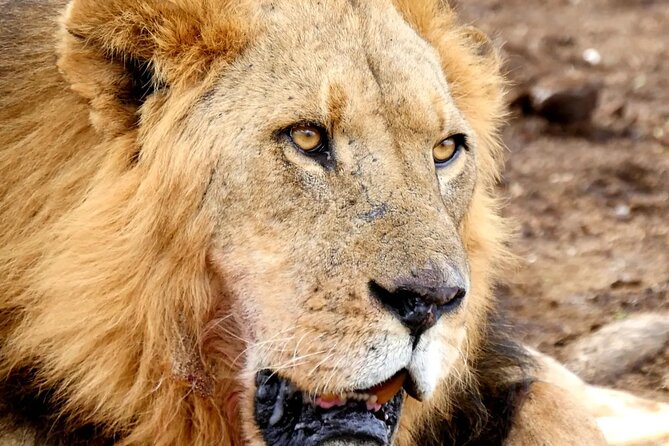 Lake Nakuru NP Half-Day Safari - Why Lake Nakuru Works So Well in a Half-Day