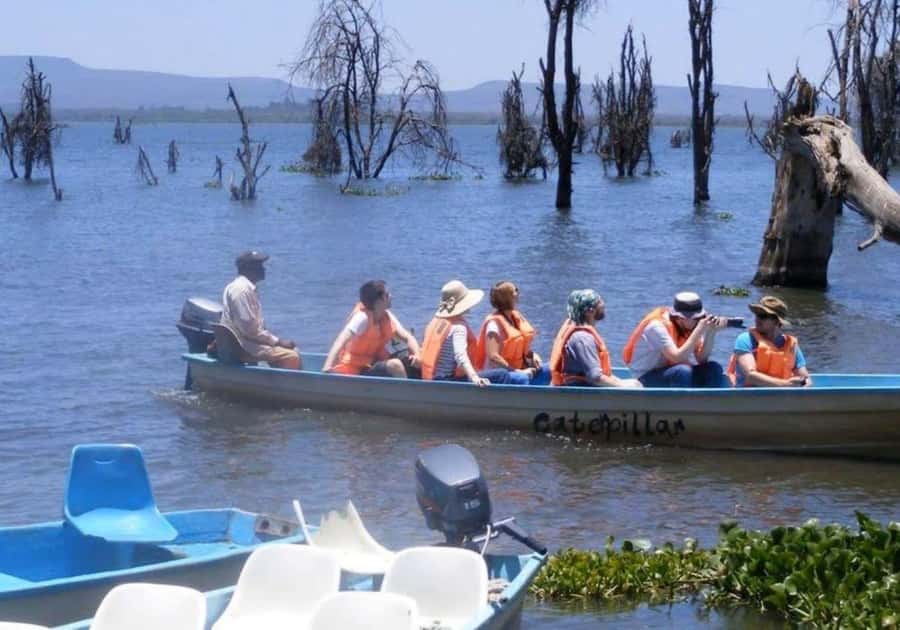 Lakes Nakuru& Naivasha National Park Wildlife Highlights - Park fees, entrance costs, and what your $180 really covers
