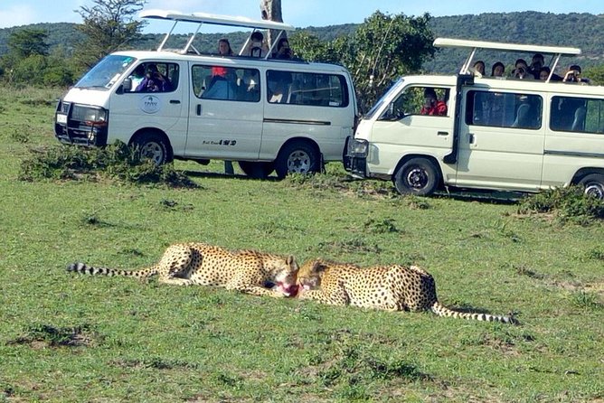 Maasai Mara 2-Day Safari Tour from Nairobi - Key things I’d zero in on before you go