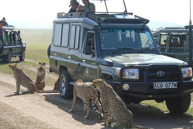 Maasai Mara 3 Day Guided Tour - Day 3: one more Mara morning and a return game drive to Nairobi