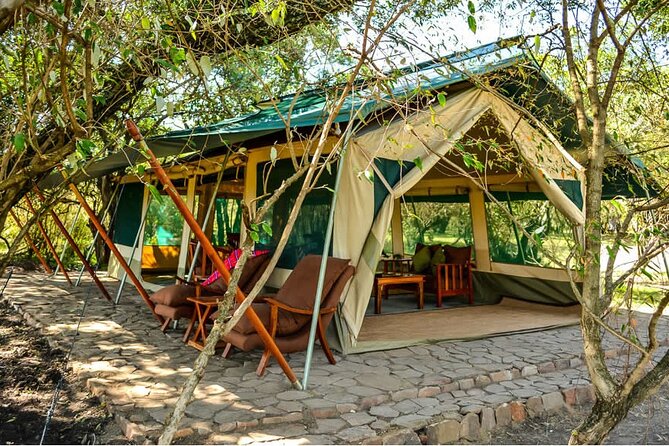 Maasai Mara 3 Day Guided Tour - The private tour feel, safety vibes, and why it matters