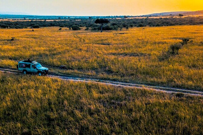 Maasai Mara 3 Day Guided Tour - Practical tips so you enjoy every drive