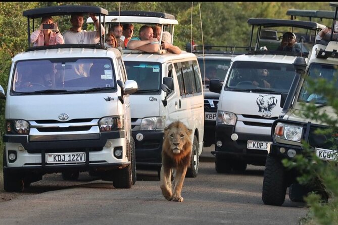 Maasai Mara Day Trip - Key highlights to notice before you go