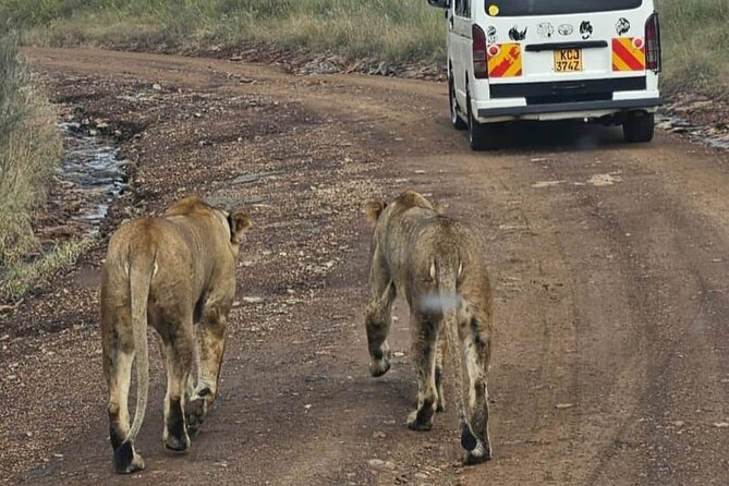 Maasai Mara Day Trip - Why the small group size matters in the real world