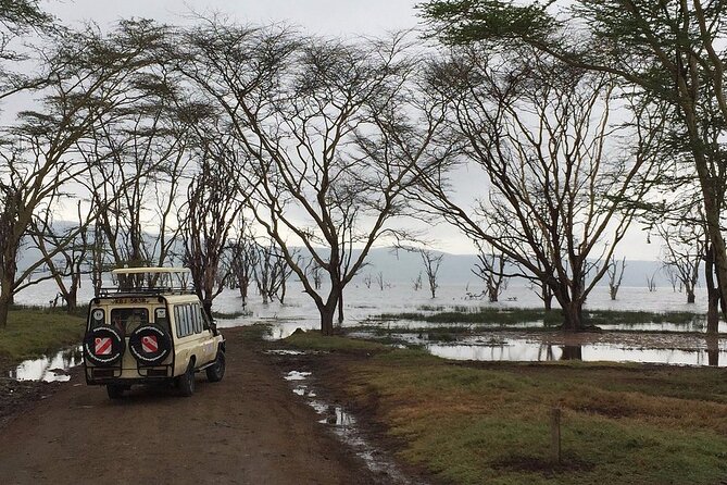 Maasai Mara Day Trip - What makes the experience good value, and where it can feel tight