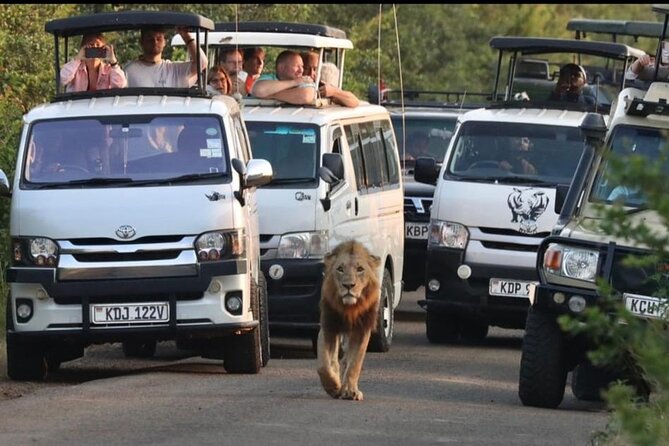 Maasai Mara Day Trip From Nairobi - Key Highlights You’ll Feel During This Day Trip