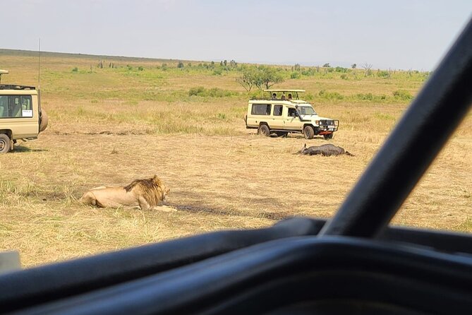Maasai Mara Day Trip From Nairobi - Your Guide Makes or Breaks the Day: Names You’ll Remember