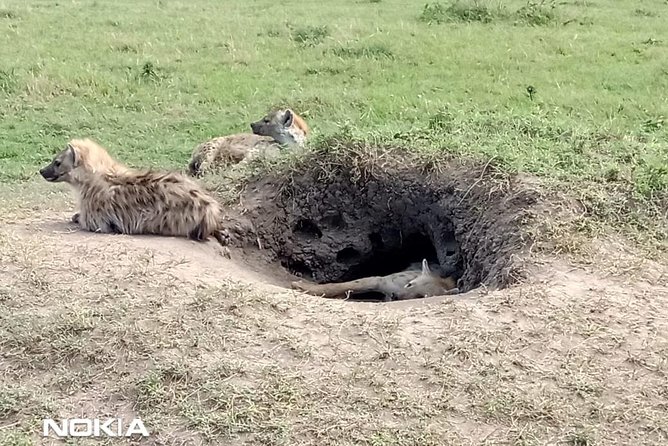 Maasai Mara Game Reserve - Lodging, Meals, and Drive Time: How This Plan Keeps You Comfortable