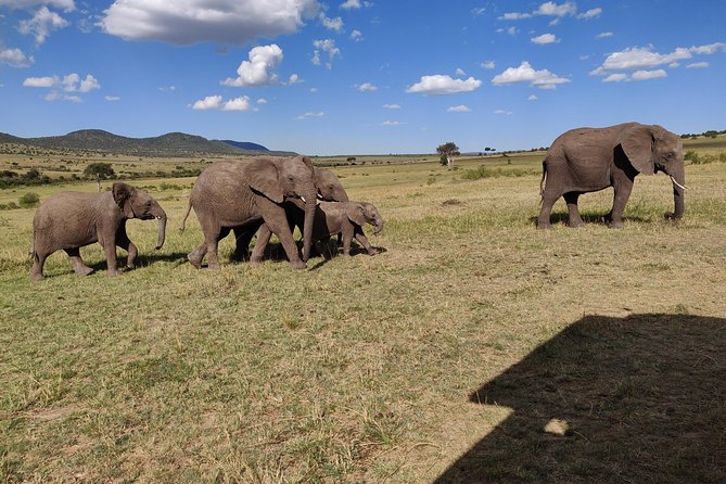 Maasai Mara Safari!! - Maasai Mara Safari: Why the Nairobi to Mara Route Makes Sense for 3 Days