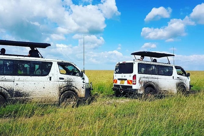 Maasai Mara Safari!! - Wildlife Reality Check: Big Five Chances, but No Guarantees