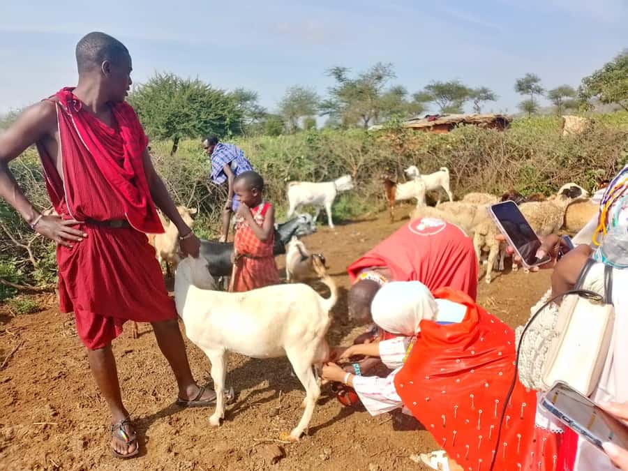 Maasai Village: Cultural Experience of The Maasai Tradition - Fire-Making the Traditional Way, Then Ugali Cooking at Human Speed