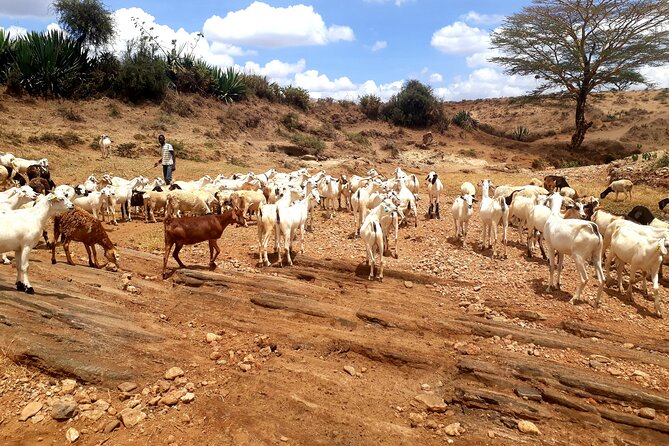 Maasai Village Experience Day Tour - Photography rules, plus how to get great pictures without breaking the vibe