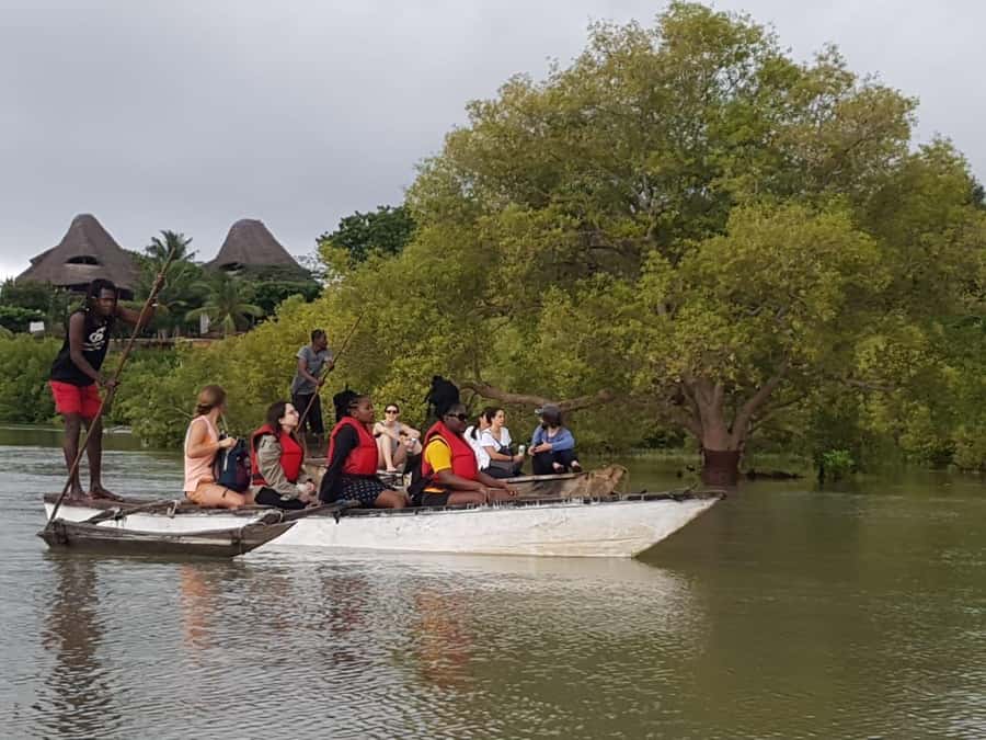 mangrove tour - Key Highlights You’ll Care About on the Day