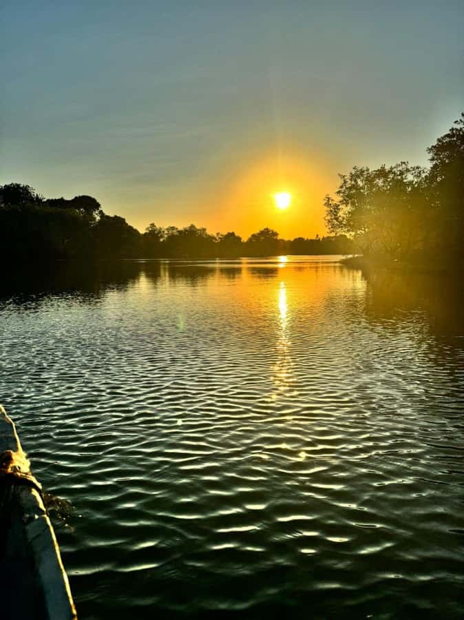 mangrove tour - Why a Kongo River Mangrove Cruise Feels Different Than Typical Coast Trips