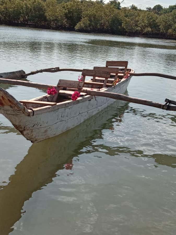 mangrove tour - Birdwatching Without Hassle: How to Get More From the 2 Hours