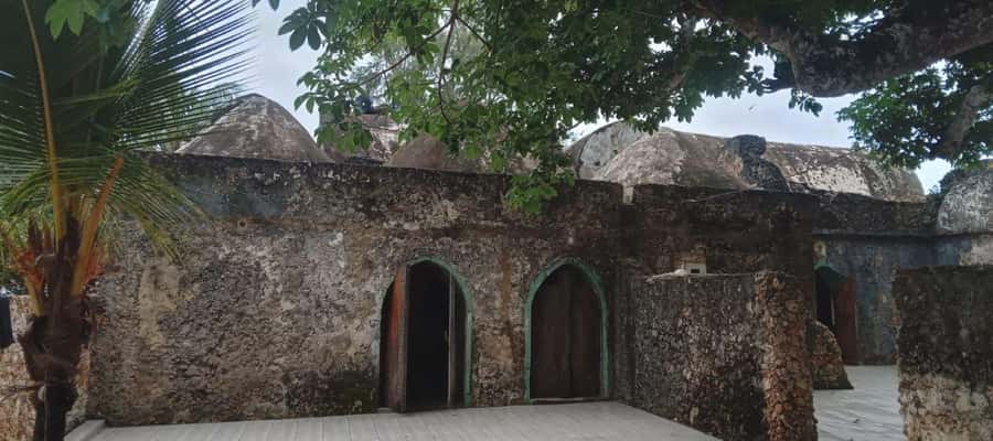 mangrove tour - What’s Included, What’s Not, and What to Bring