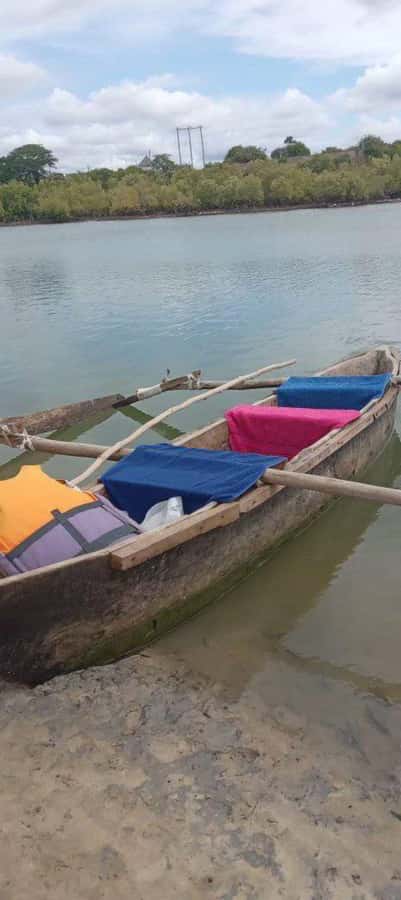 mangrove tour - Languages and the Human Factor: Making Sure You Get the Story