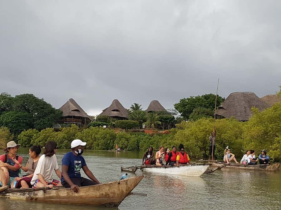 mangrove tour - The 16:00 Pickup and the 18:30 Return That Shape Your Sunset Chances