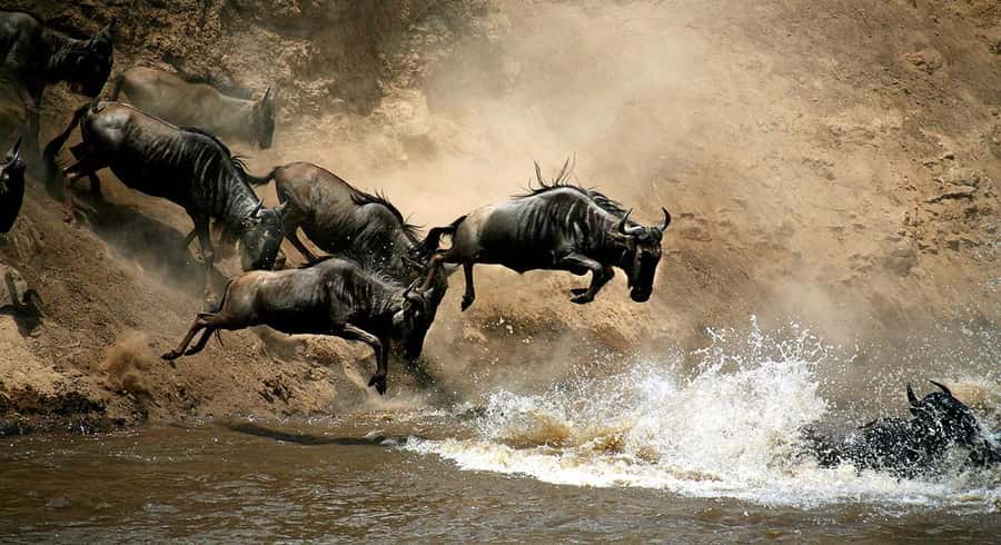 Masai Mara: 3-Day Group Joining Safari by Land Cruiser - Price and real cost: $240 base plus park fees and optional add-ons