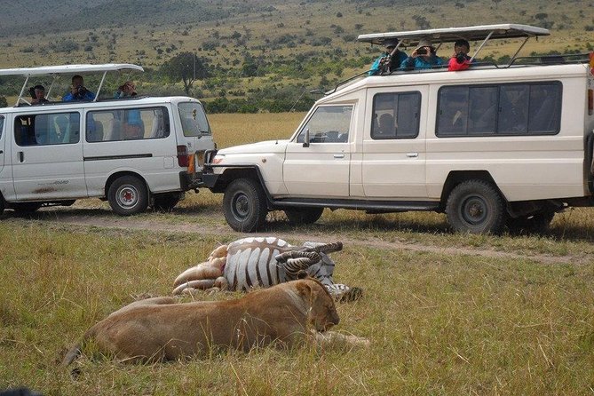 Masai Mara Budget 2 nights tented camp road Safari - Key highlights to know before you go