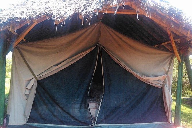 Masai Mara Budget 2 nights tented camp road Safari - Big Five reality check, how to think about sightings without stress