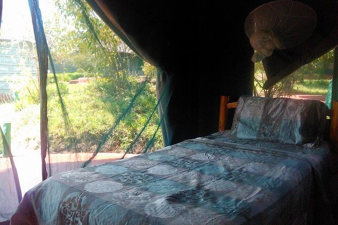 Masai Mara Budget 2 nights tented camp road Safari - Your tented camp base for 2 nights, what you are actually paying for